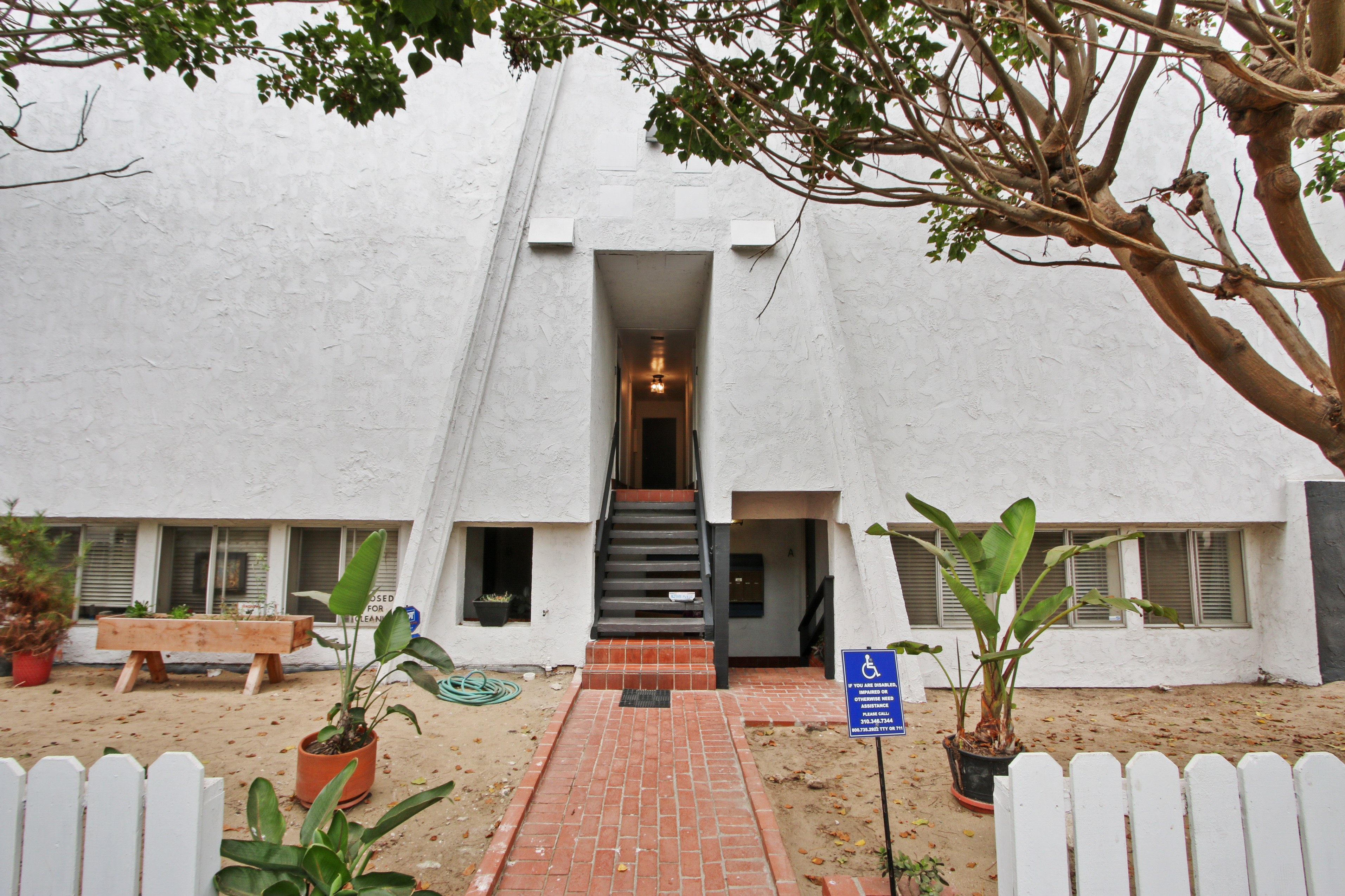 A white building with a tree in front of it.
