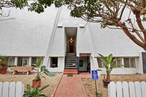 A white building with a tree in front of it.