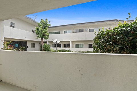 A white building with a tree in front of it.
