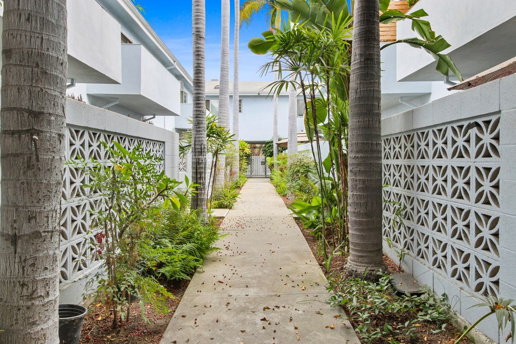 a path between two white buildings with palm trees