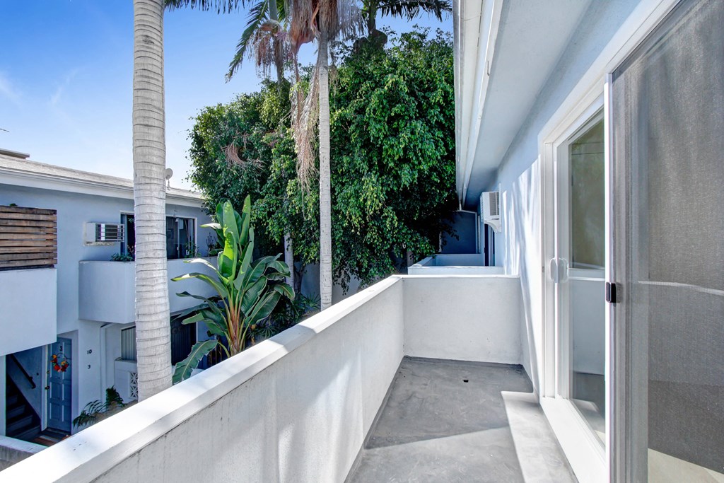 a balcony with a door and a palm tree