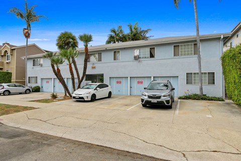 A white car is parked in front of a grey building with a palm tree.
