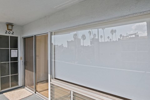 A room with a glass door and a window showing a view of palm trees outside.