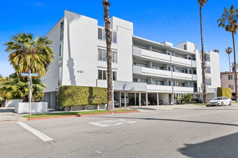 A white building with a palm tree in front of it.