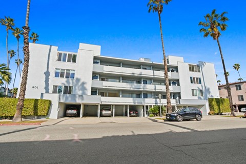 A modern white building with palm trees in front.