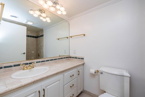 A white toilet sits next to a sink in a bathroom.