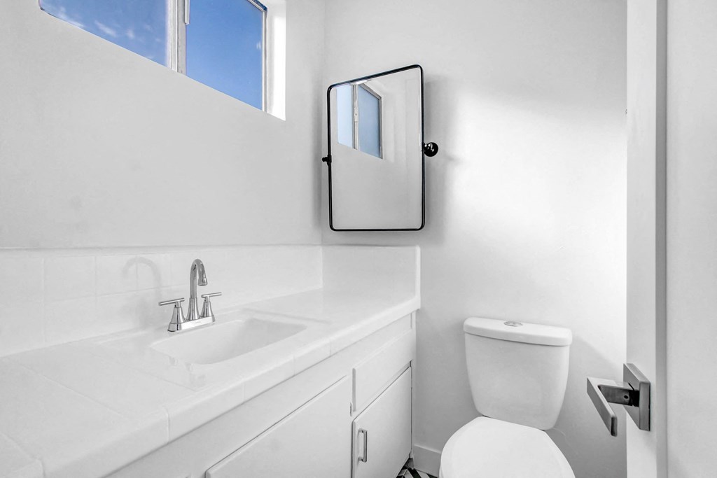 a bathroom with a toilet and a sink and a mirror