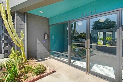 The image shows the entrance to a building with glass doors and a cactus plant in front.