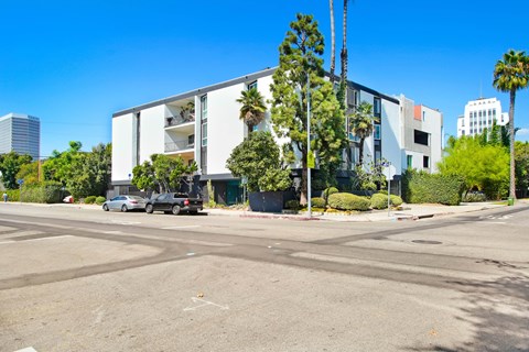 A modern building with a white facade is surrounded by palm trees and other greenery.