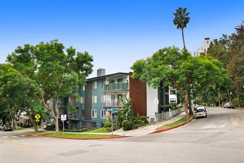 A street view of a residential area with a blue building on the left and a white building on the right.
