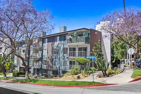 A street view of a residential building with a purple flowering tree in front.