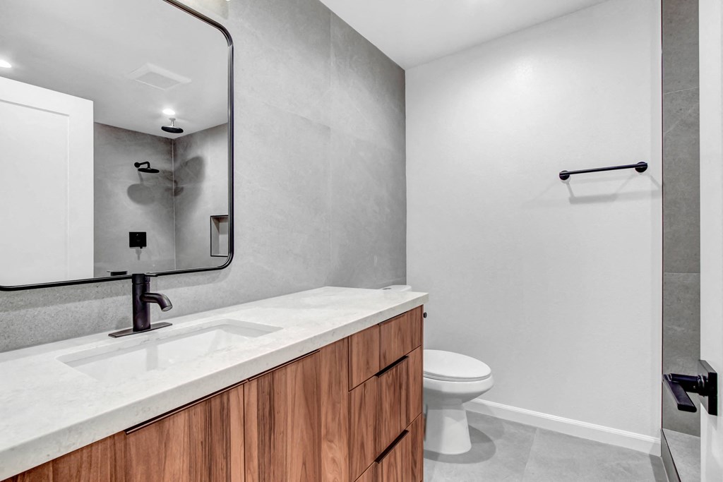 a bathroom with a sink and a toilet and a mirror