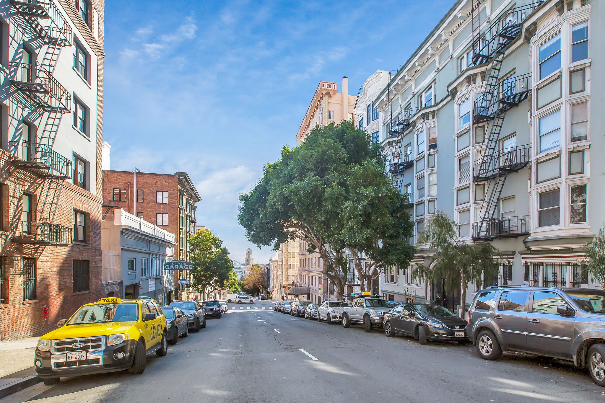 A tree in the middle of a street lined with parked cars.