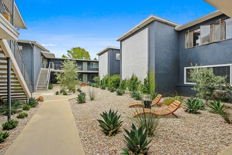 A modern courtyard with a concrete pathway and a variety of plants.
