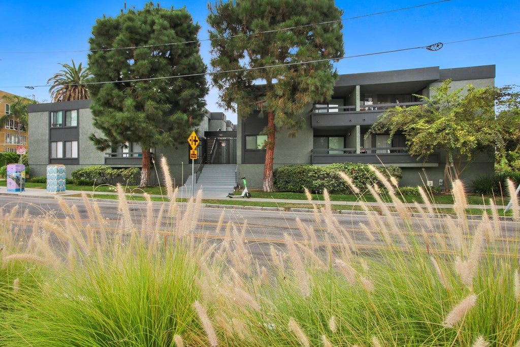 A modern house with a grey exterior and a balcony is surrounded by tall grass and trees.