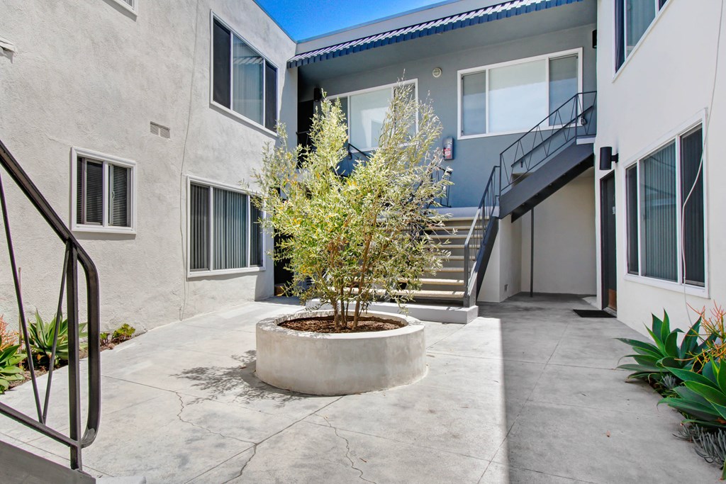 a tree in a planter in front of a building