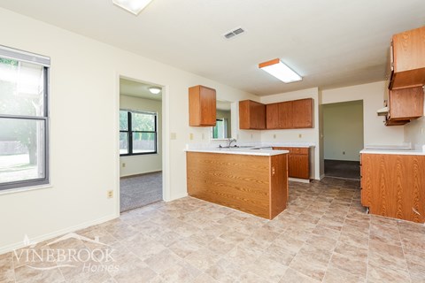 A kitchen with a counter and cabinets.