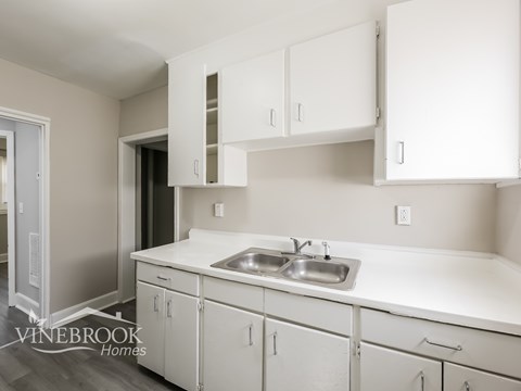 A white kitchen with a sink and cabinets.