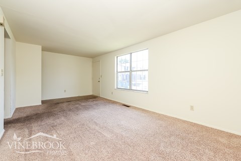 A room with a carpeted floor and a window letting in light.