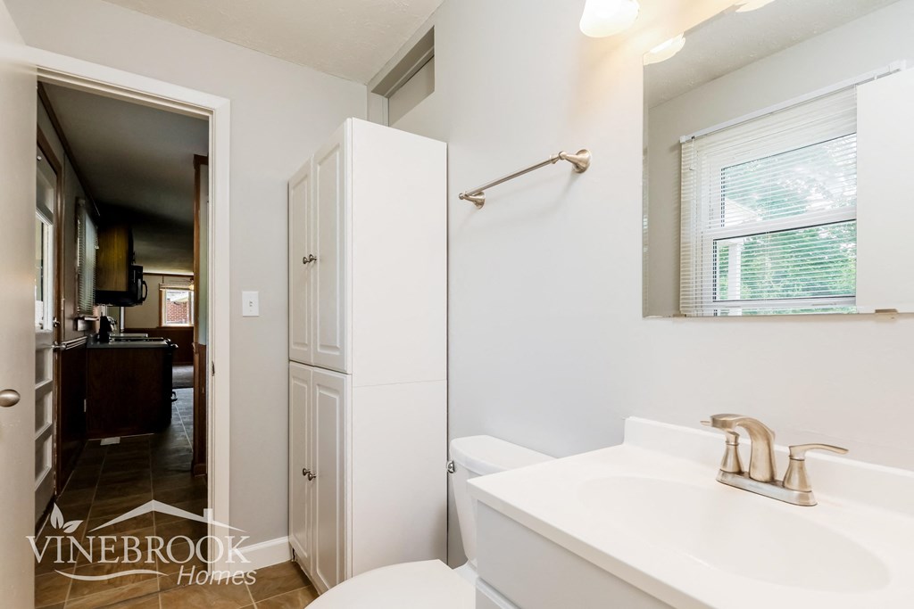 a bathroom with a sink and a mirror and a toilet