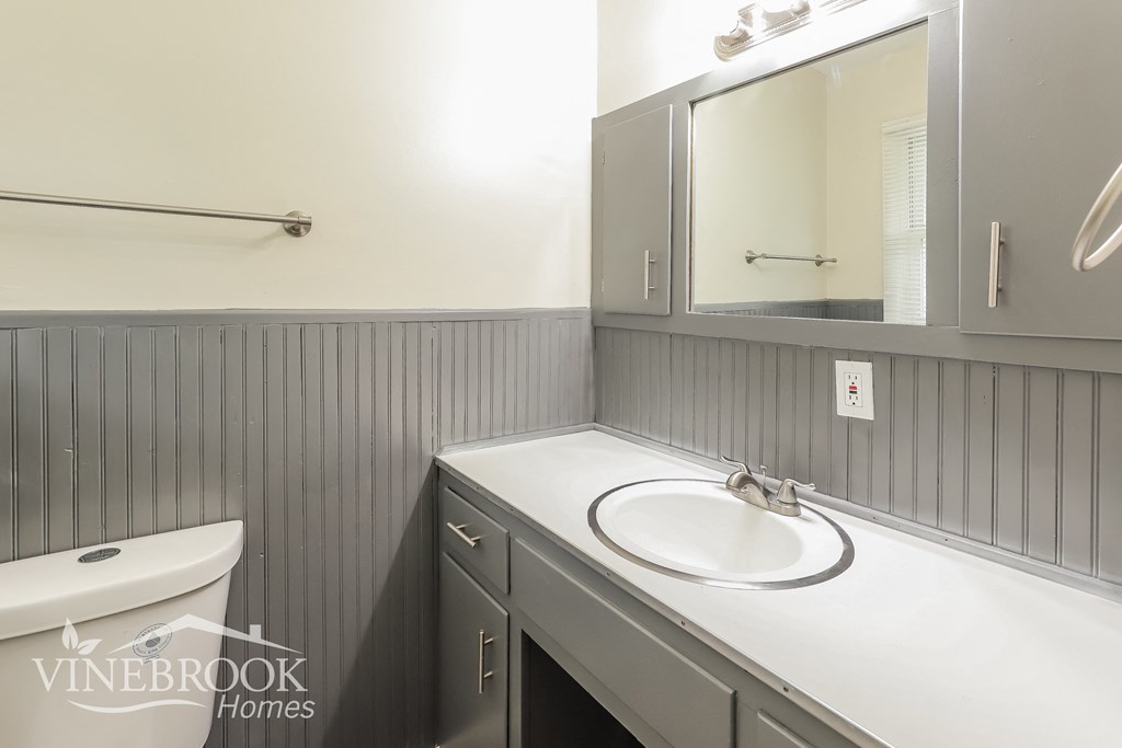 a bathroom with a sink and a mirror and a toilet