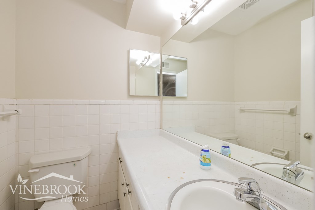 a bathroom with a sink and a mirror and a toilet