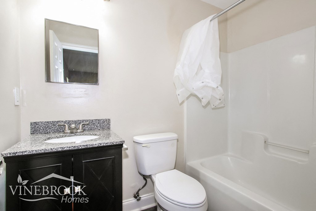 a bathroom with a toilet and a sink and a bath tub