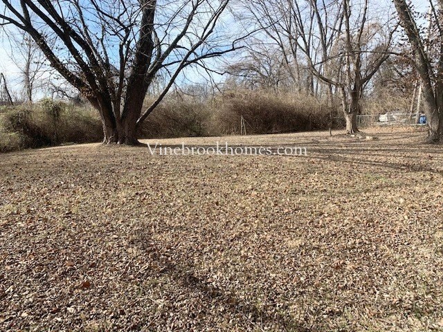 a park with a tree and a bench