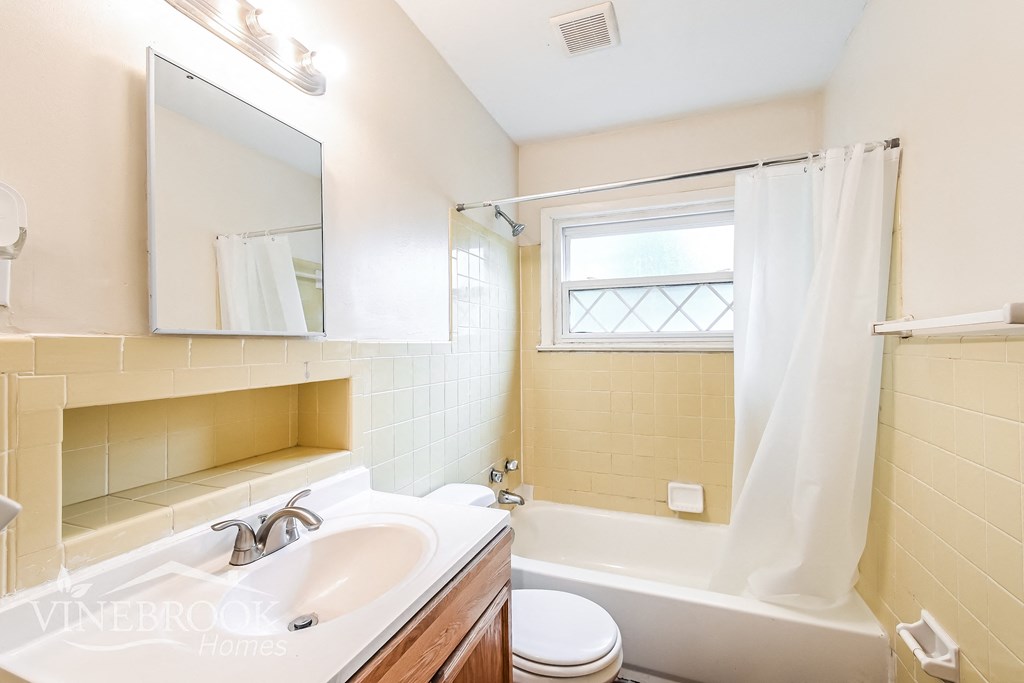 a bathroom with a sink and a toilet and a tub