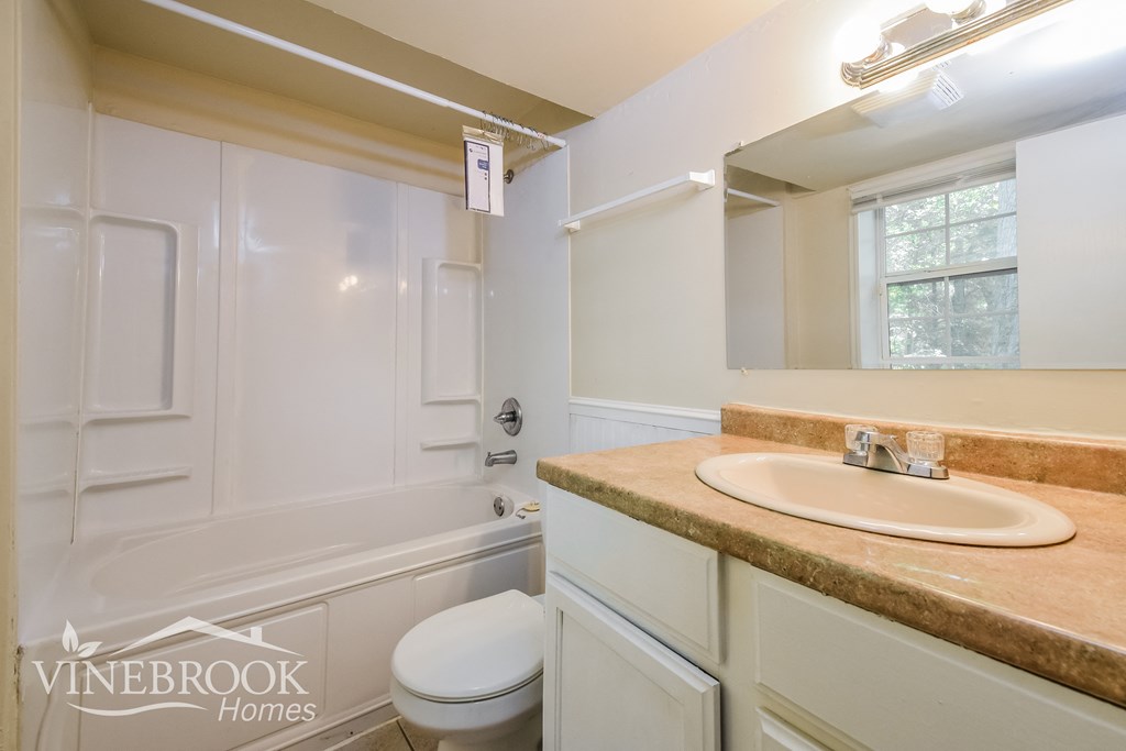 a bathroom with a sink and a toilet and a tub