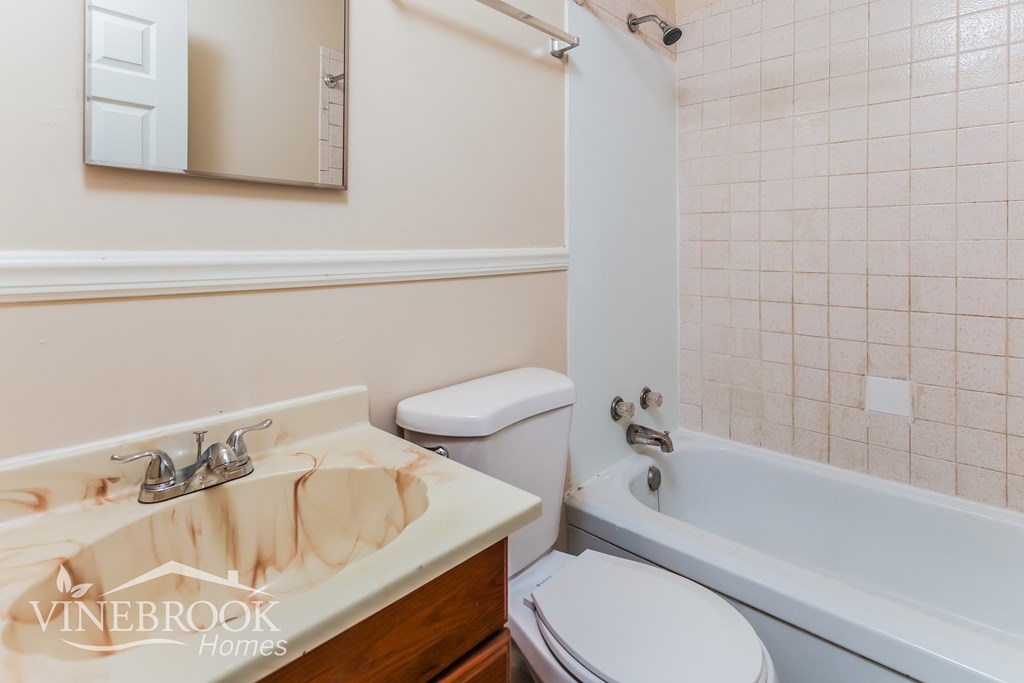 a bathroom with a sink and a toilet and a tub