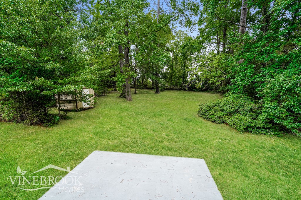 A backyard with a white platform surrounded by trees.