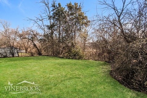 A lush green lawn with trees and bushes in the background.