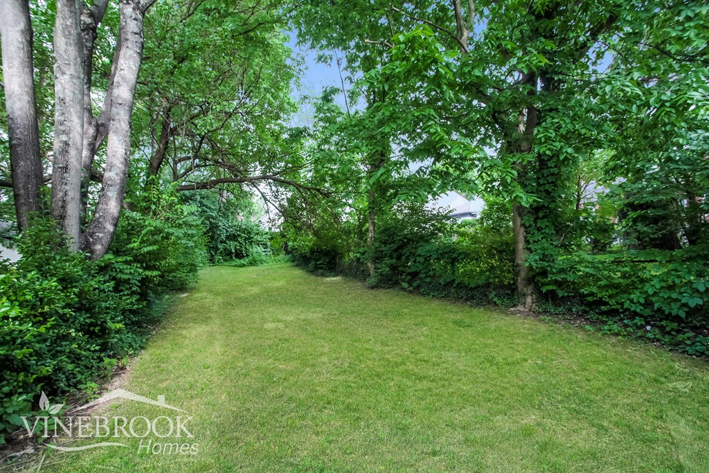 A lush green garden with trees and bushes.