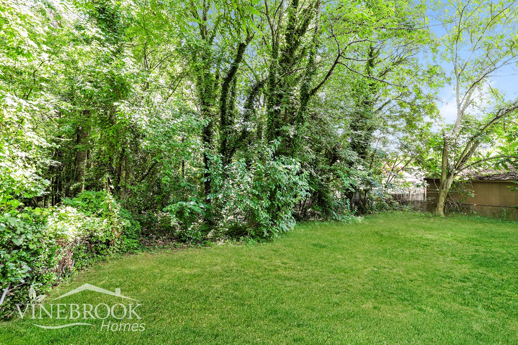 A lush green backyard with trees and grass.