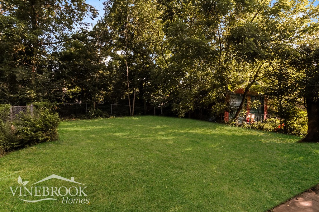 A lush green yard with trees and a fence.