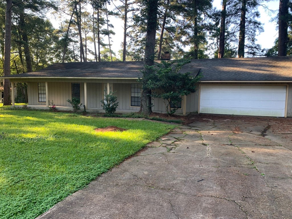 Front yard