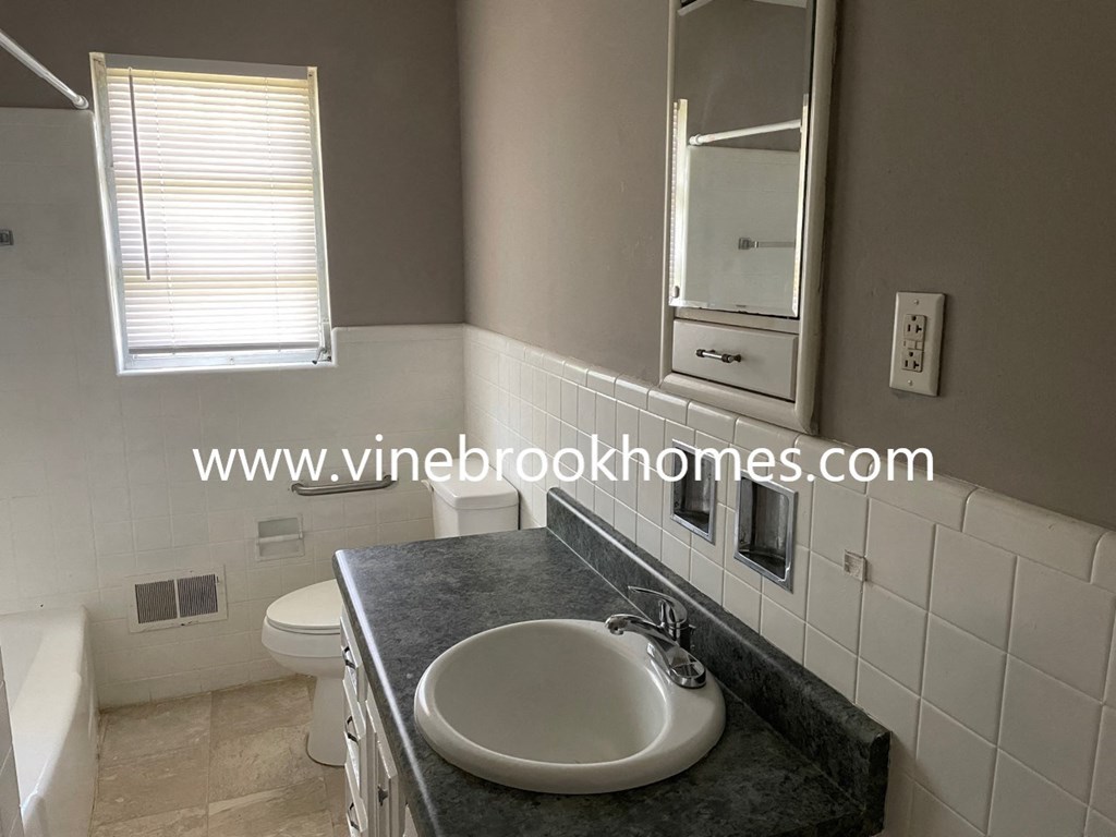 a bathroom with a sink and a toilet