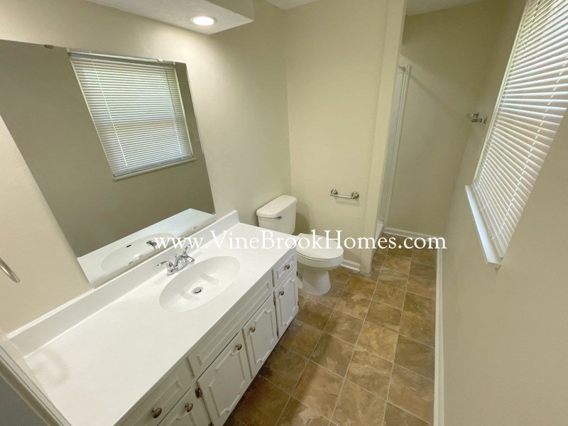 a bathroom with a sink and a toilet and a mirror