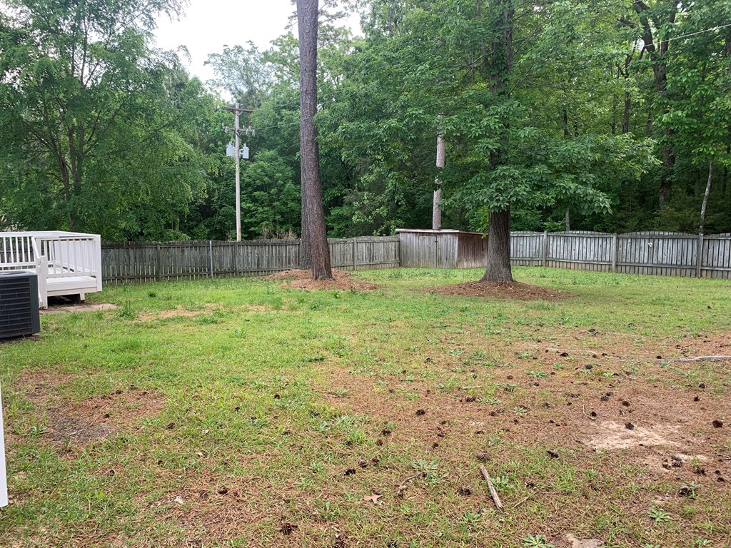 a yard with two trees and a white bench