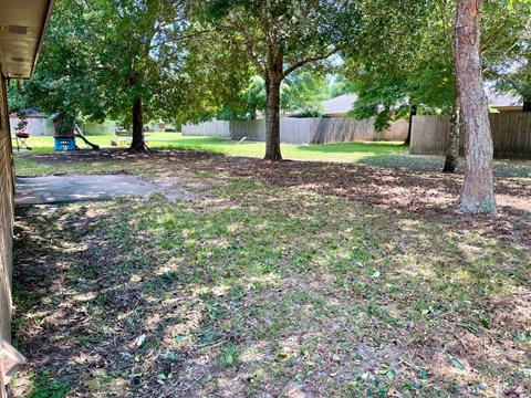 a backyard with trees and a cement walkway