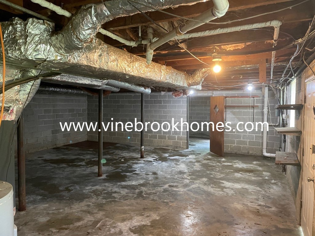 a large basement with a large tree hanging from the ceiling