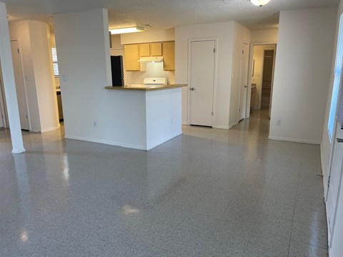 A kitchen area with a counter and cabinets.