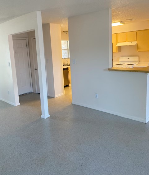A kitchen area with a counter and cabinets.