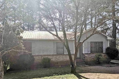 A house with a metal roof and a tree in front.