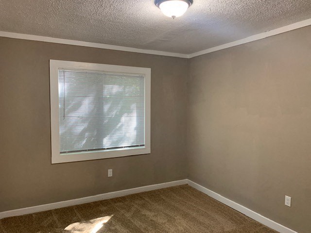 an empty room with a window and a carpet