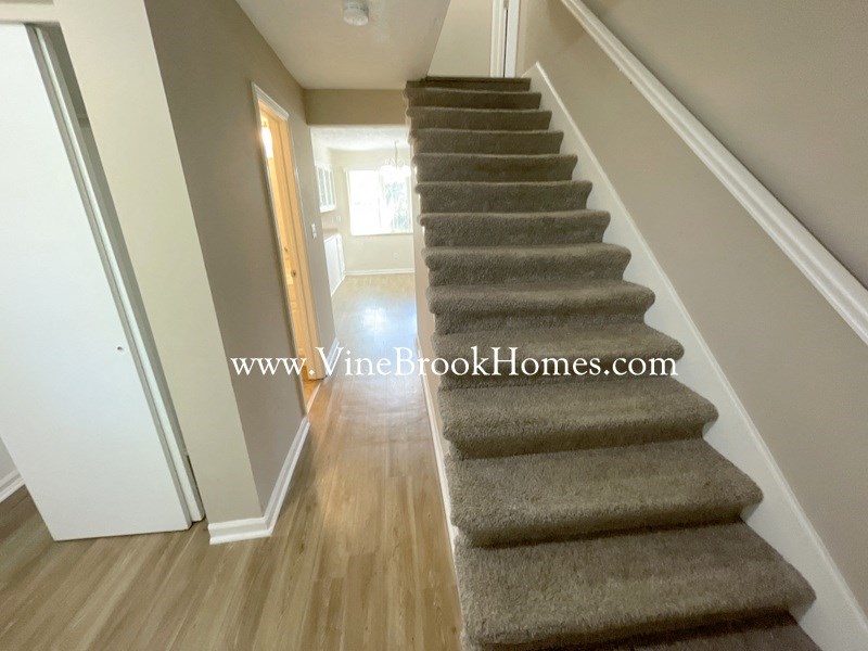 the carpeted stairs in a home