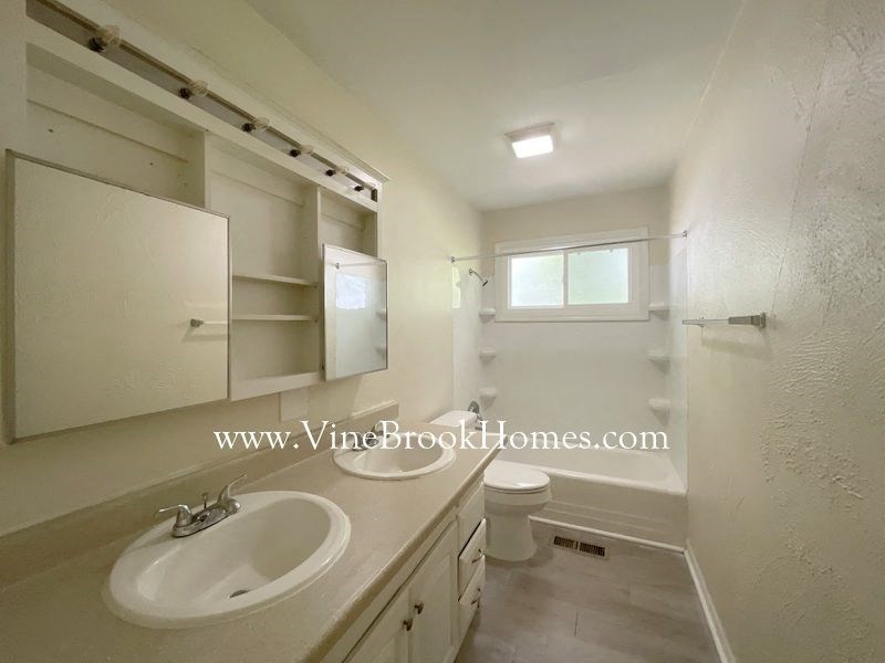 a bathroom with a sink and a toilet and a shower