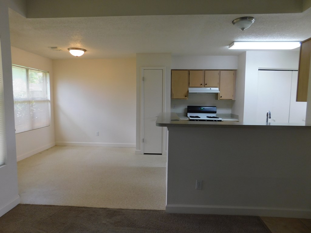 A kitchen area with a counter and cabinets.