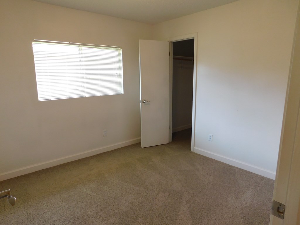 A room with a carpeted floor, a window with blinds, a door, and a wall socket.